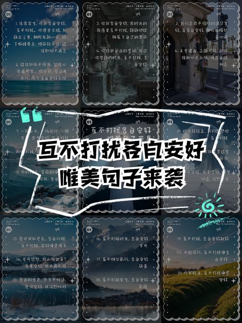 最好的关系是:忙时互不打扰,闲时互诉