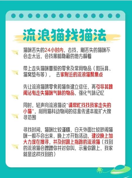 猫丢了找回来的巧方法图标