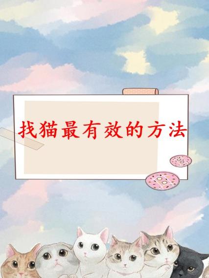 猫丢了找回来的巧方法截图2