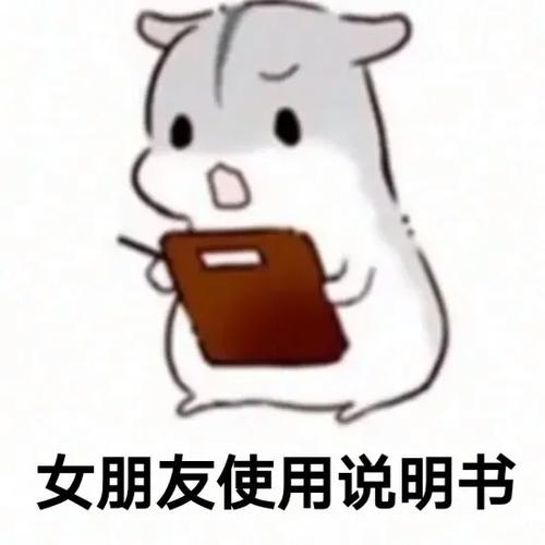 怎么把女朋友追回来