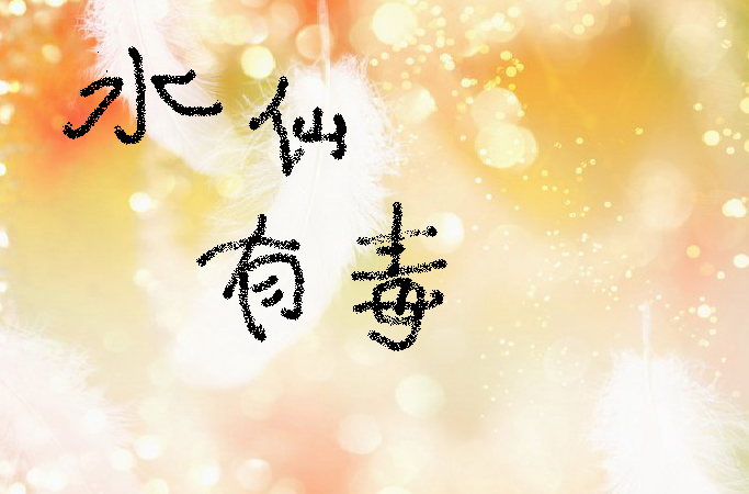 水仙有毒小说全文阅读图标