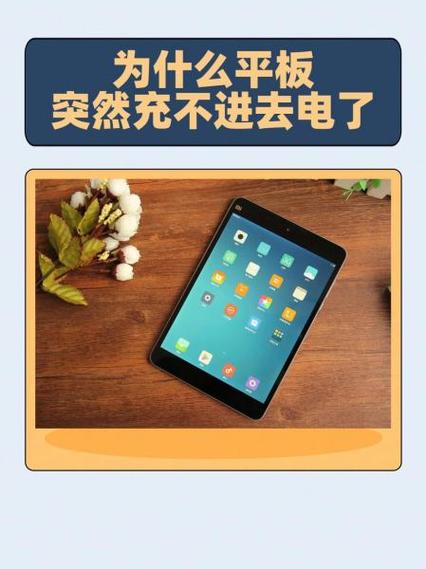 为什么苹果平板充不进电