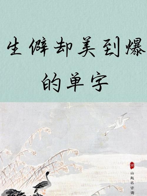 稀有绝版字1000个