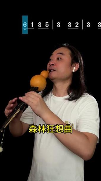 葫芦丝能吹的流行歌曲
