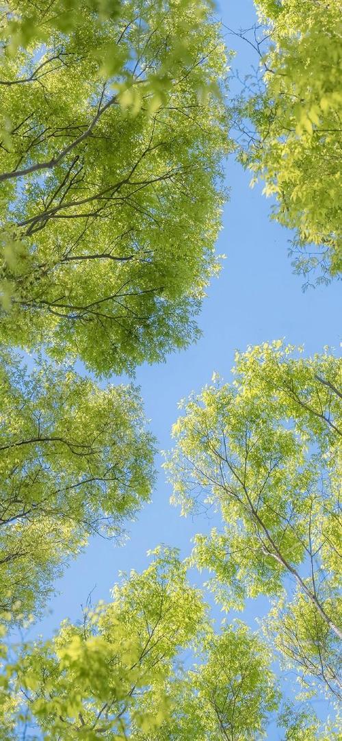 微信朋友圈广告背景图