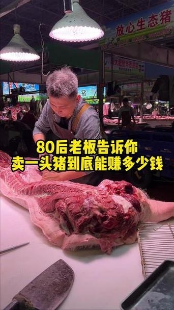 猪赚头