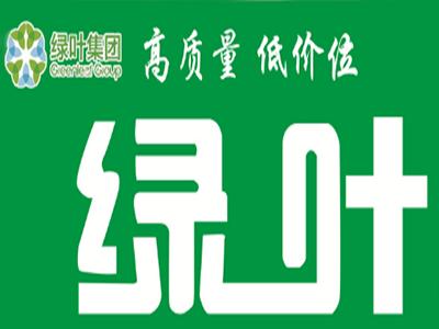 绿叶加盟费多少钱
