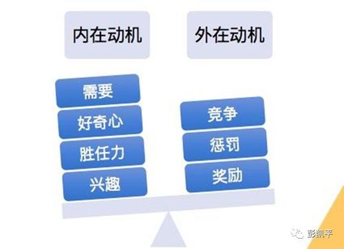 动机和目的区别是什么
