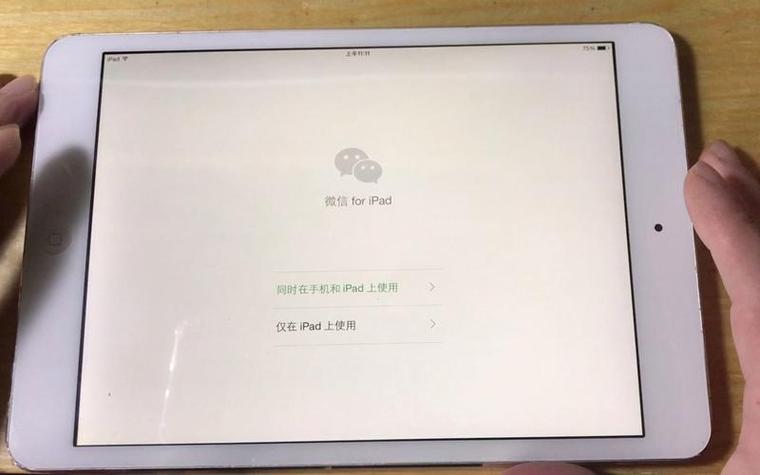 为什么ipad麦克风用不了