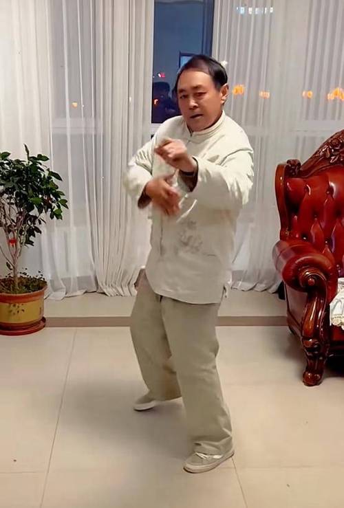 马保国太极拳
