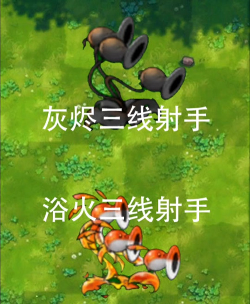 浴火辅助