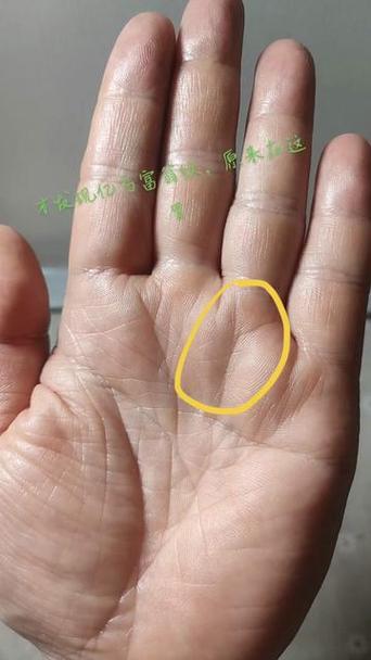 无名指下有小竖线
