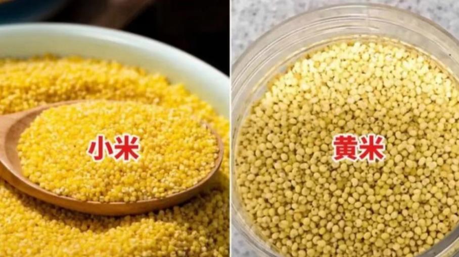 象小米一样的米是什么米