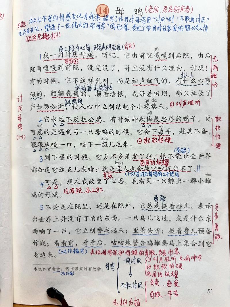 阿姑看母鸡歌词大意