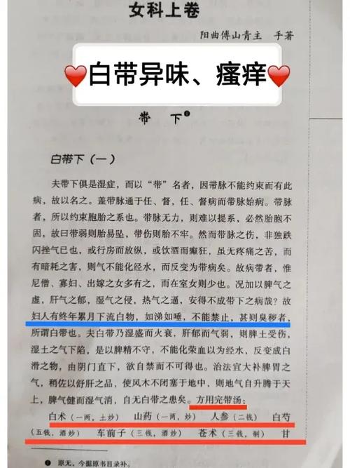 妇科圣手之逍遥