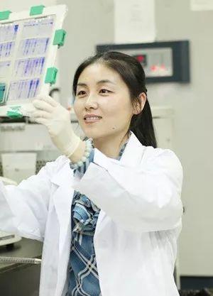 科研女神