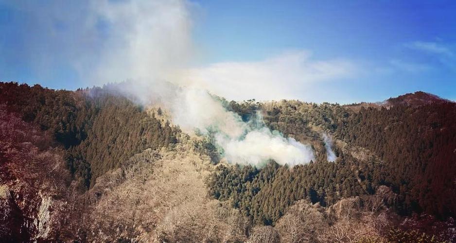 日本岩手县山林火灾已扑灭
