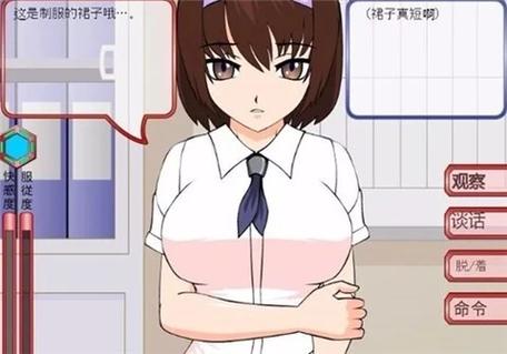 偷窃少女的教育方法游戏手机版截图2