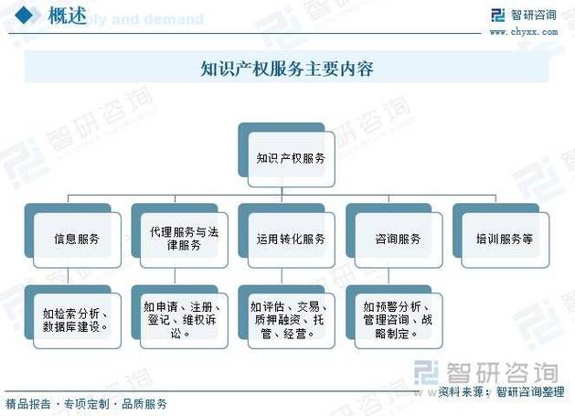 知识产权公司是干什么的