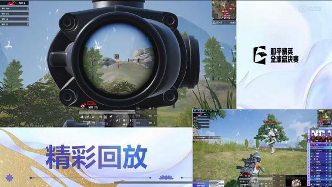 被打死了为什么没有淘汰回放截图2