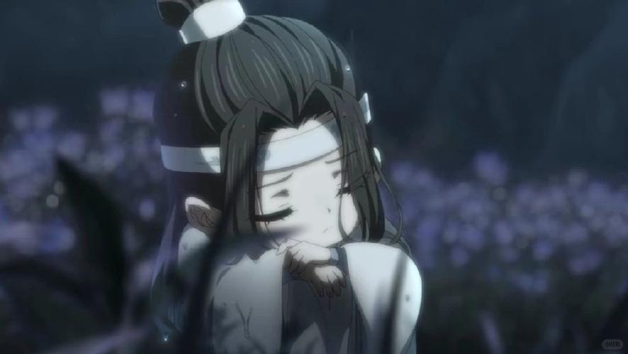 小蓝忘机