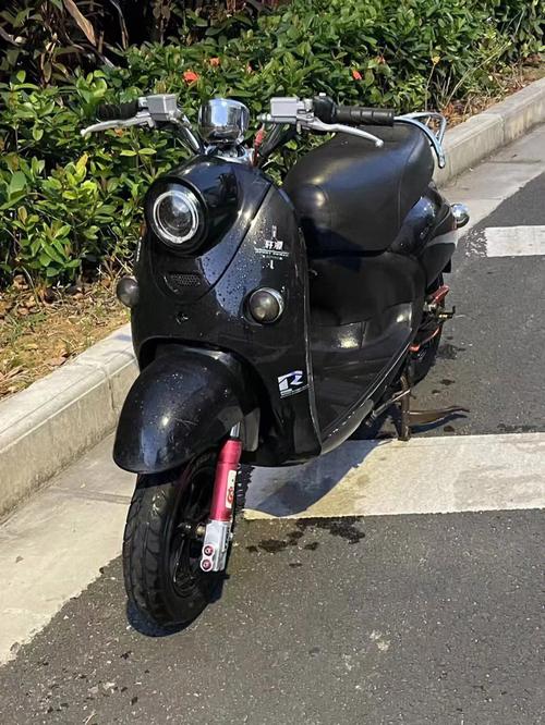 蓝德330多少钱