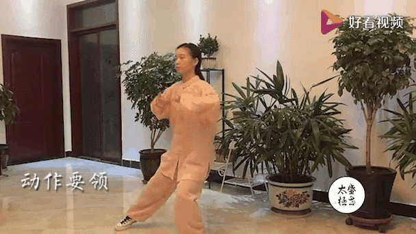 太级八段锦教学