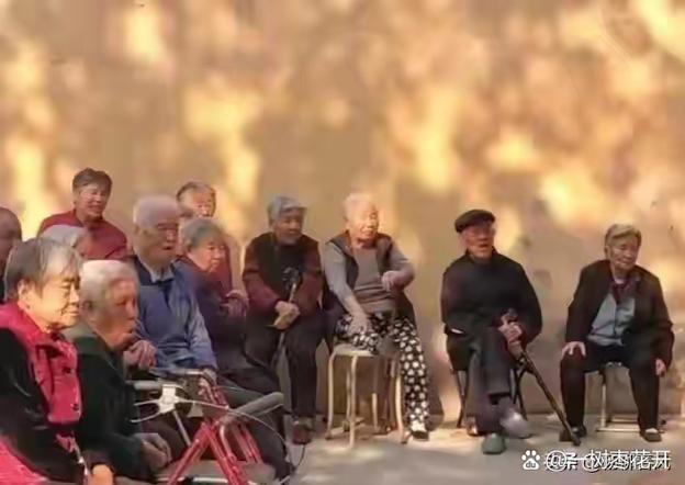中老年人聊天群