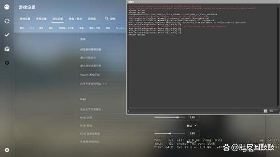 csgo启用开发者控制台