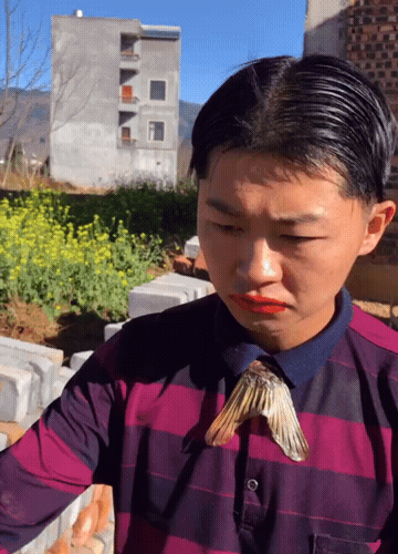 毕节哪里可以找到妹子