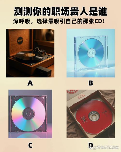 diss是啥意思