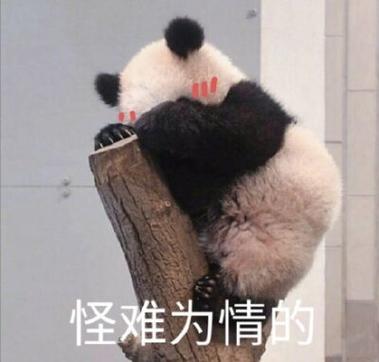 无奈的熊猫表情图片截图2