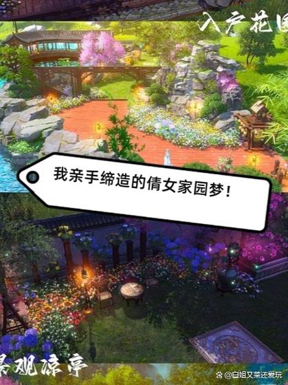 家园梦完美阵容