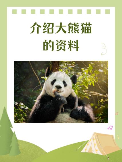 大熊猫资料