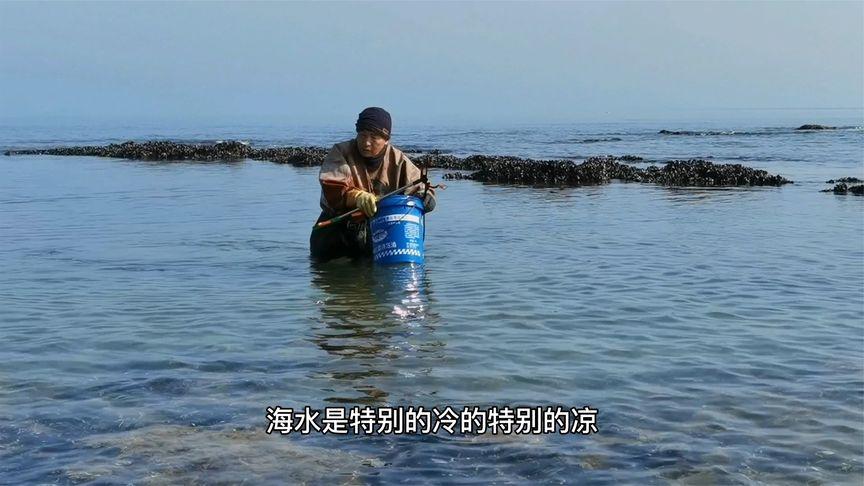 深海抓海螺的视频