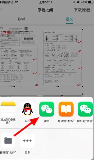 zhixuecom查询成绩学网