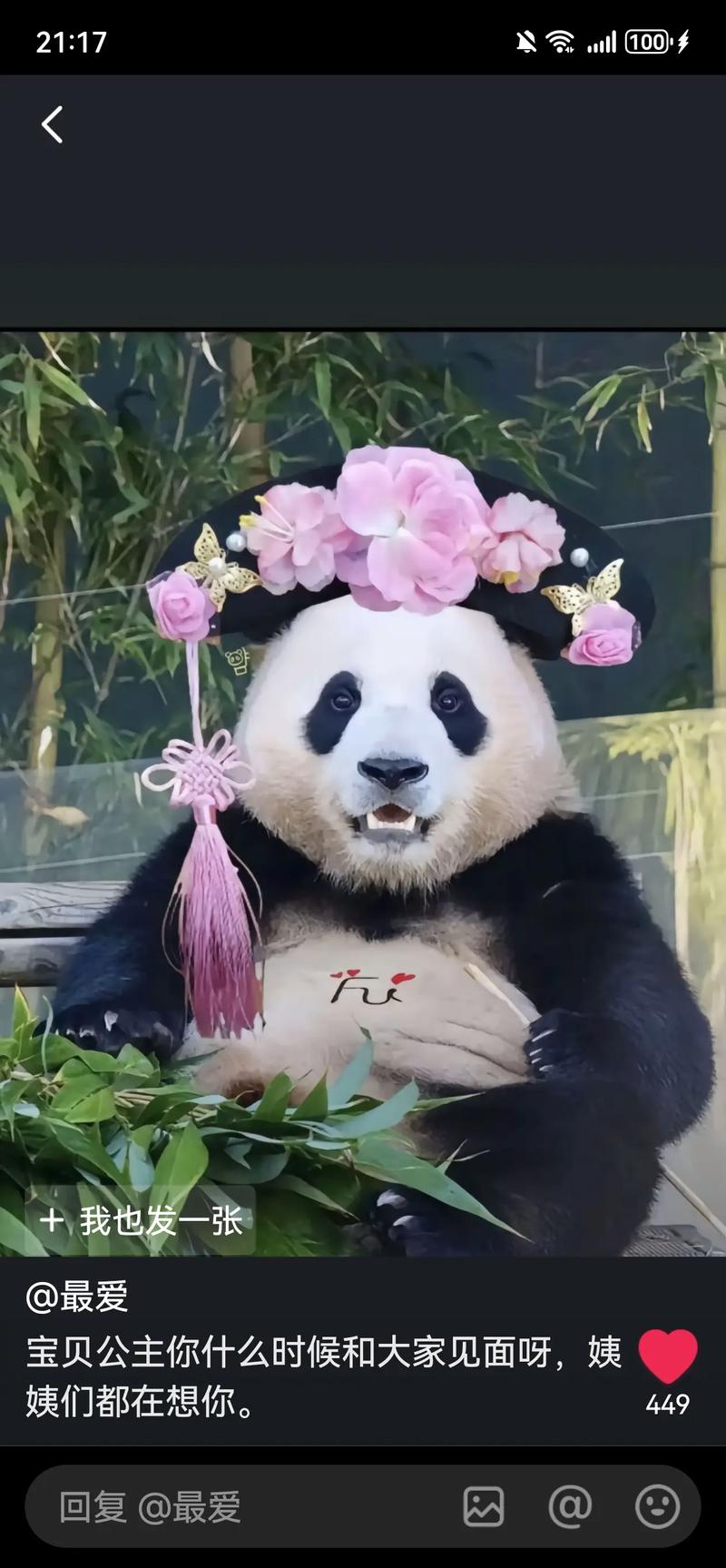 林家小福宝格格党