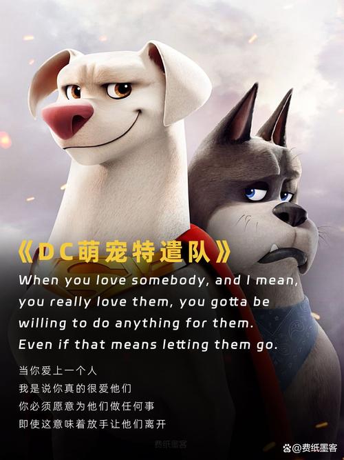 萌宠特攻单词对决