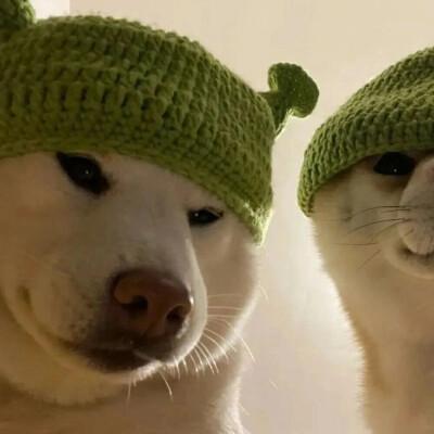 可爱沙雕情侣头像一对动漫