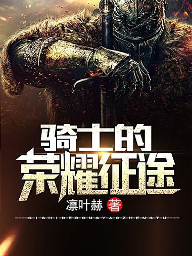 骑士的荣耀小说