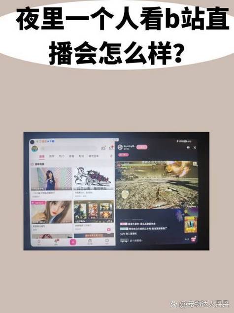 b站直播仅播声音