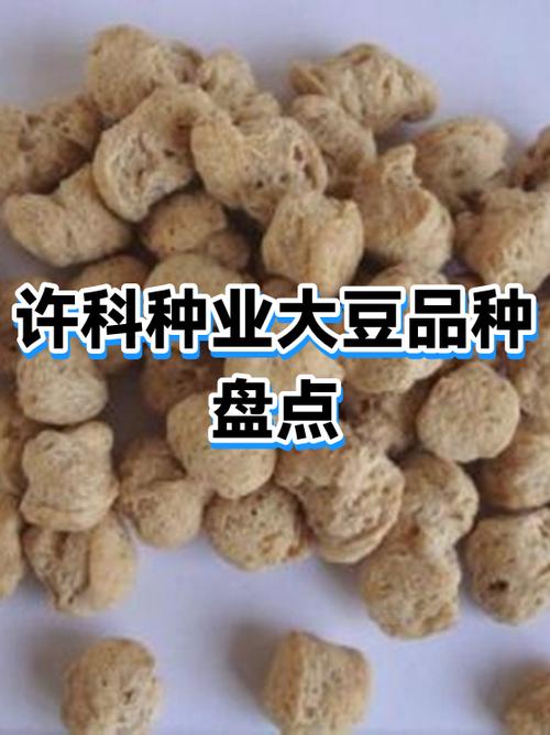 斤棵豆151大豆品种介绍