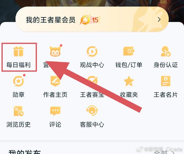 王者营地可以看送皮肤的记录吗