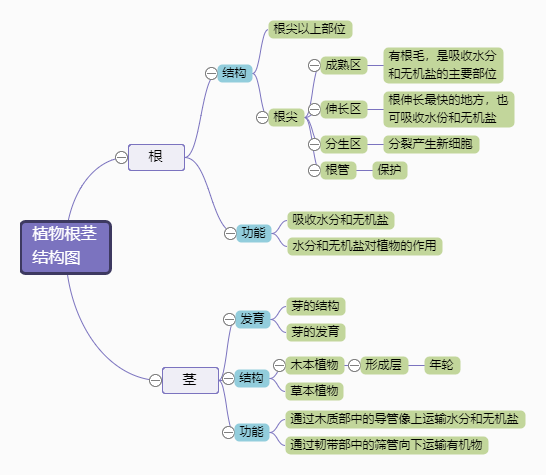 迅捷思维导图