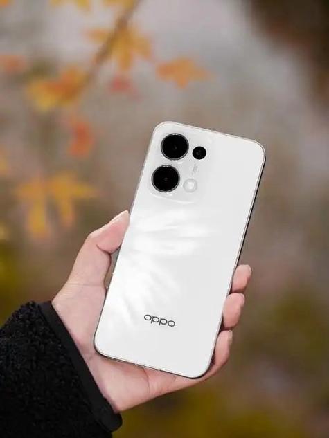 opporeno支持5G吗截图3