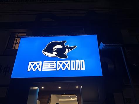 网鱼网咖加盟费多少钱