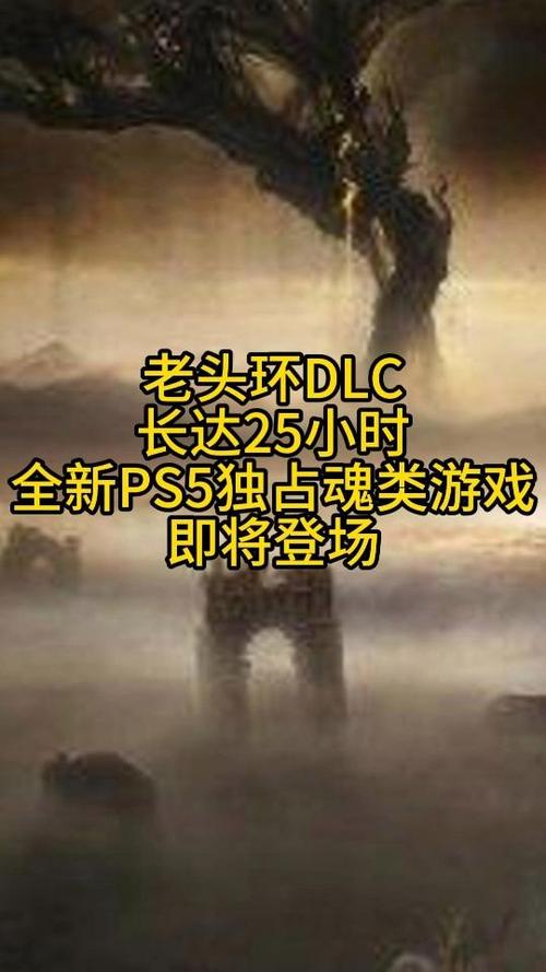 老头环dlc多久出