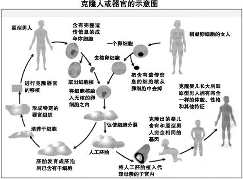 克隆人是什么截图3