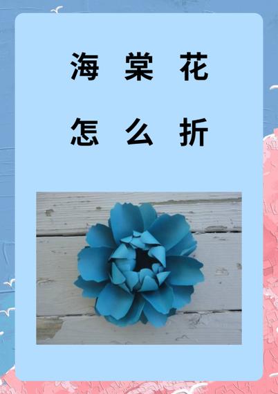 海棠怎么打不开了
