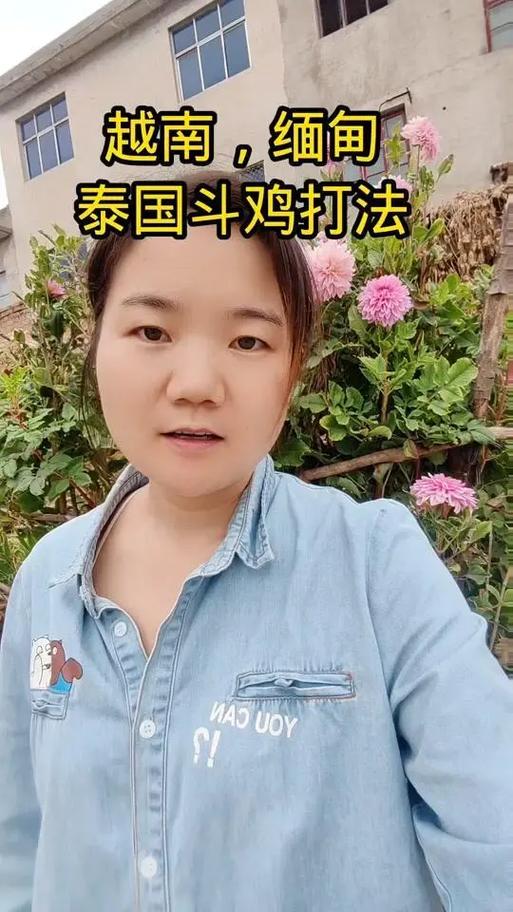 斗鸡哪种打法最好